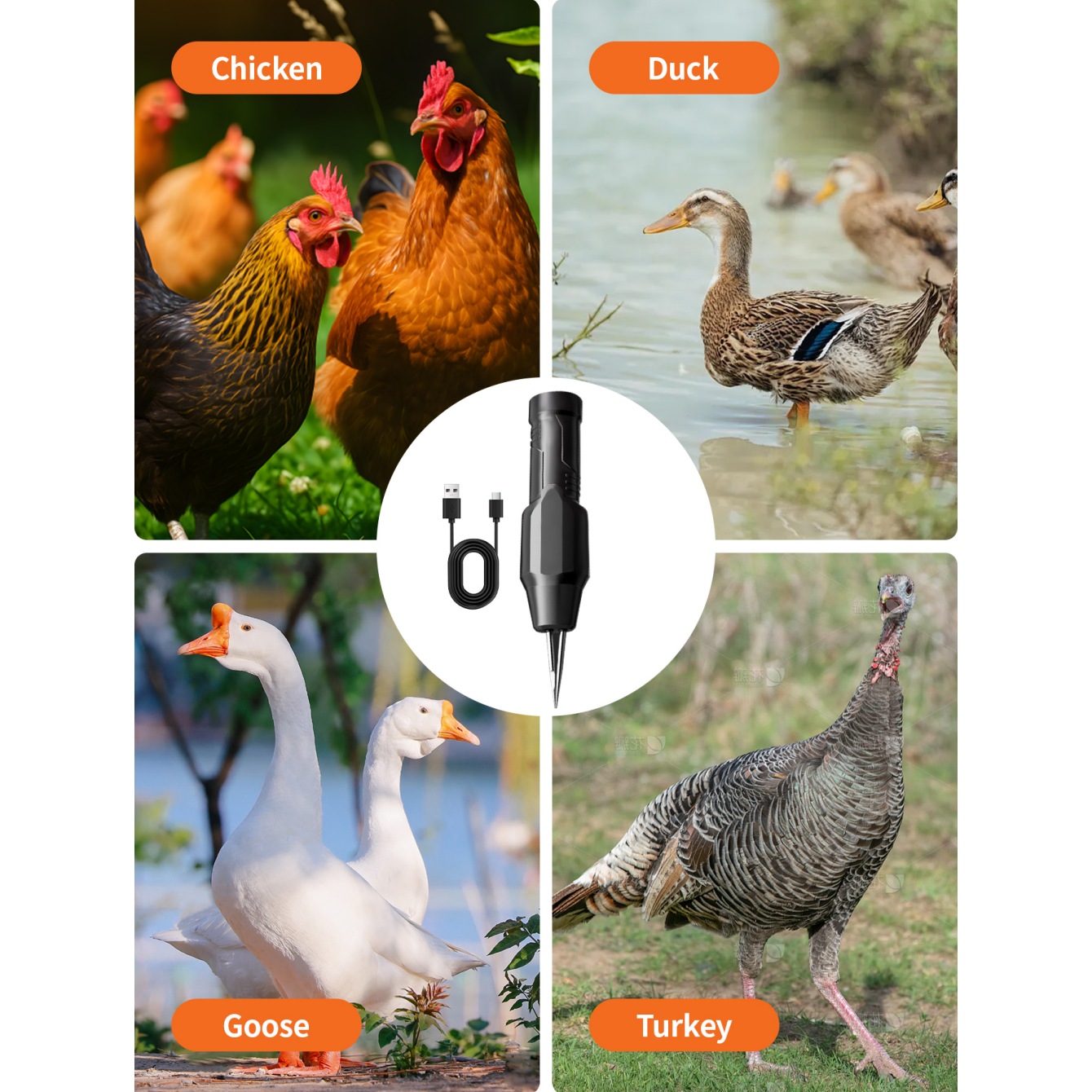 Handheld Chicken Plucker for Effortless Poultry Processing